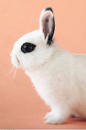 《Valorant》发布最新角色 沉默技能机器人KAY＆O